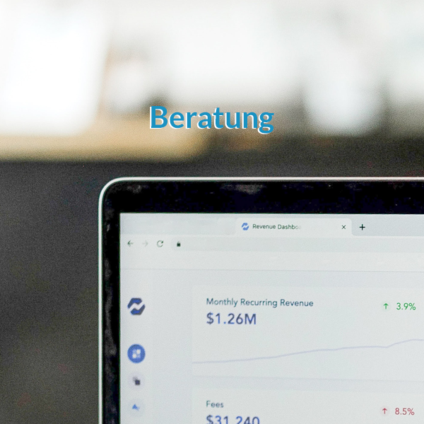 Beratung Affiliate Management 2h Monat